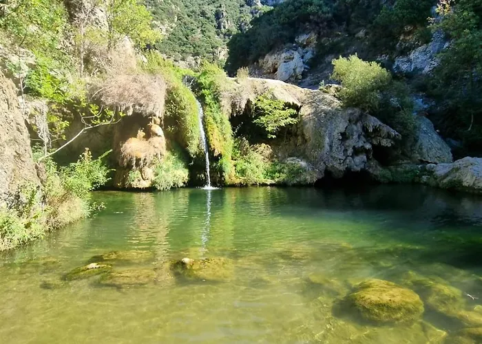 Cyprès De Vos Rêves * Ornaisons